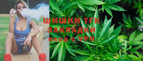 2c-b Теберда