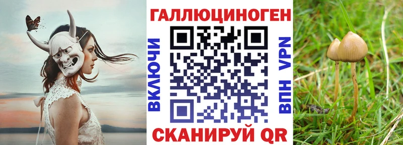 маркетплейс как зайти  Шарья  Галлюциногенные грибы мухоморы  hydra вход 